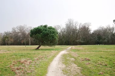 Parc Saint Albe de Gradignan (1).